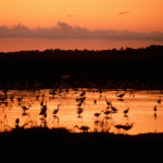 TourismAustralia_Kakadu National Park