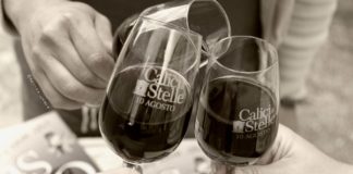 “CALICI DI STELLE” NELLA NOTTE DI SAN LORENZO