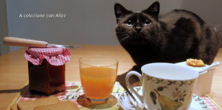 IL BUONGIORNO SI VEDE DAL MATTINO