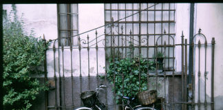 DIECI BUONI MOTIVI PER SCEGLIERE LA BICI (ANCHE D’INVERNO)