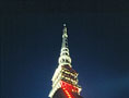 small_Mole-Antonelliana-by-night_Paolo-Pellion