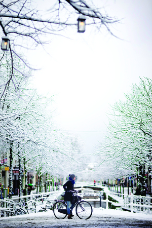 Winters beeld met besneeuwde bruggetjes in de Delftse binnenstad
