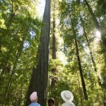 Sequoia National Park