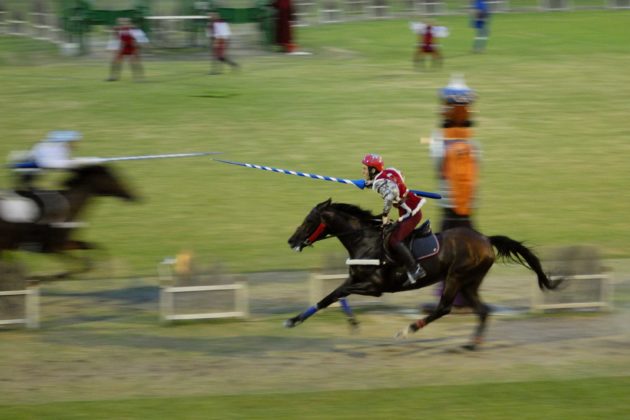 Palio di Faenza 2 - foto cral ospedalieri Banzola BD