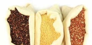 ALLA RISCOPERTA DEI “FINTI CEREALI”