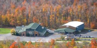 L’ORO BIONDO DEL QUEBEC