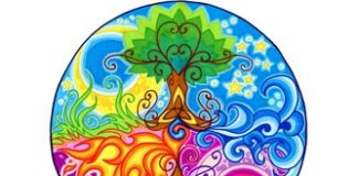 LEZIONI DI CUCINA NATURALE