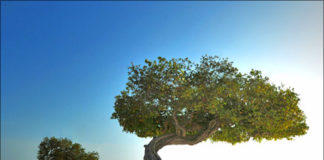 CAPODANNO AI CARAIBI