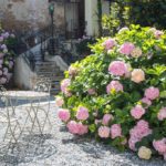 Le Jardin 3