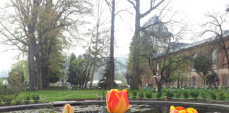 RIAPERTO AL PUBBLICO L’ORTO BOTANICO DI TORINO