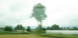 EMERGENZA CLIMATICA: CHE FARE?