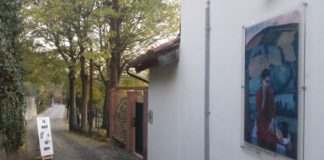 DONA FERENTES A PAVAROLO