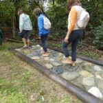 La-foresta-in-punta-di-piedi_sassi-845×684