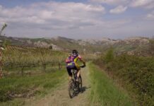 IN BICI O A PIEDI, TRA EMILIA E ROMAGNA