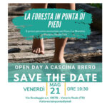 foresta in punta dei piedi