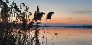 IL TURISMO SI RIMETTE IN VIAGGIO