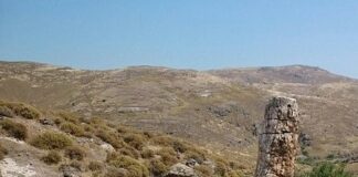 LA FORESTA PIETRIFICATA DI LESBO