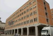 ANCHE LA BAROCCA TORINO HA I SUOI ECOMOSTRI