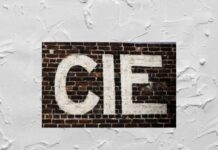 CIE – CARTA IDENTITÀ DIGITALE, POCO VALIDA