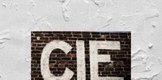 CIE – CARTA IDENTITÀ DIGITALE, POCO VALIDA