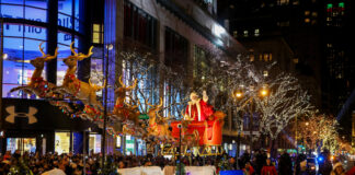 MAGNIFICENT MILE LIGHTS FESTIVAL A CHICAGO