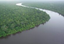 IL BORNEO DI SANDOKAN