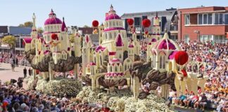 I MILIONI DI FIORI DI ZUNDERT